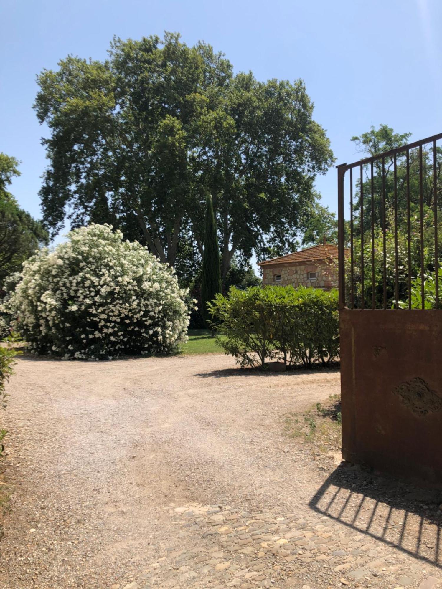 Gite Superbe L'Ecurie Xixeme Salleles-d'Aude Exterior photo